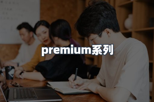 premium系列